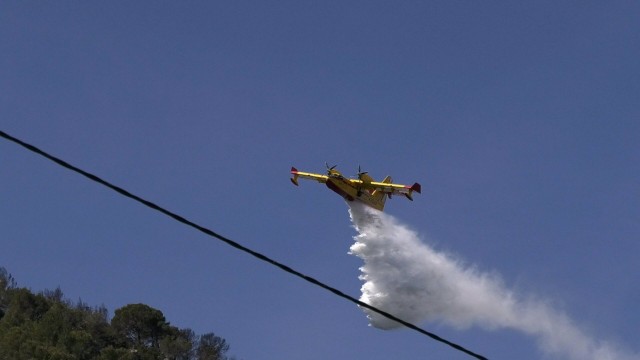 Controlado el incendio forestal de Alzira tras quemar cerca de 40 hectáreas