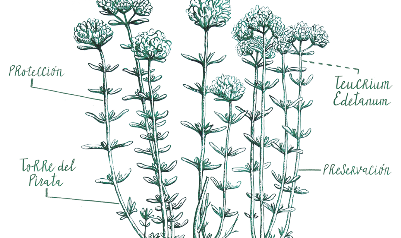 'Yo te quiero verde': un manifiesto artístico por el patrimonio natural de Godella