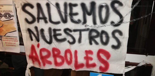 Salvem las melias mantiene la defensa del arbolado de Alicante con eventos sobre su conservación