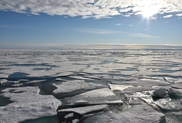 Acciona y National Geographic se dan la mano para luchar contra el cambio climático