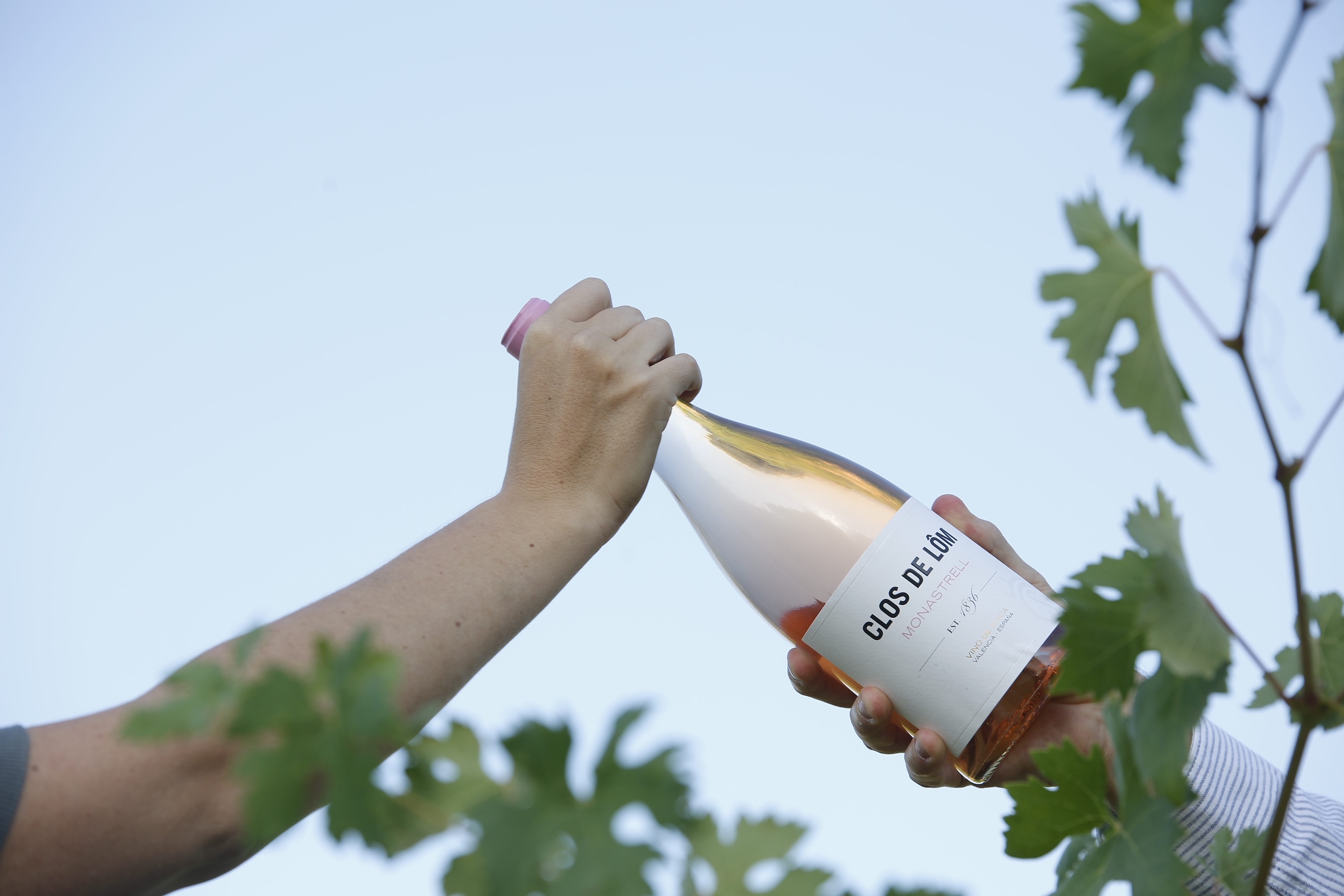 Clos de Lôm estrena una nueva añada de su premiado rosado Monastrell