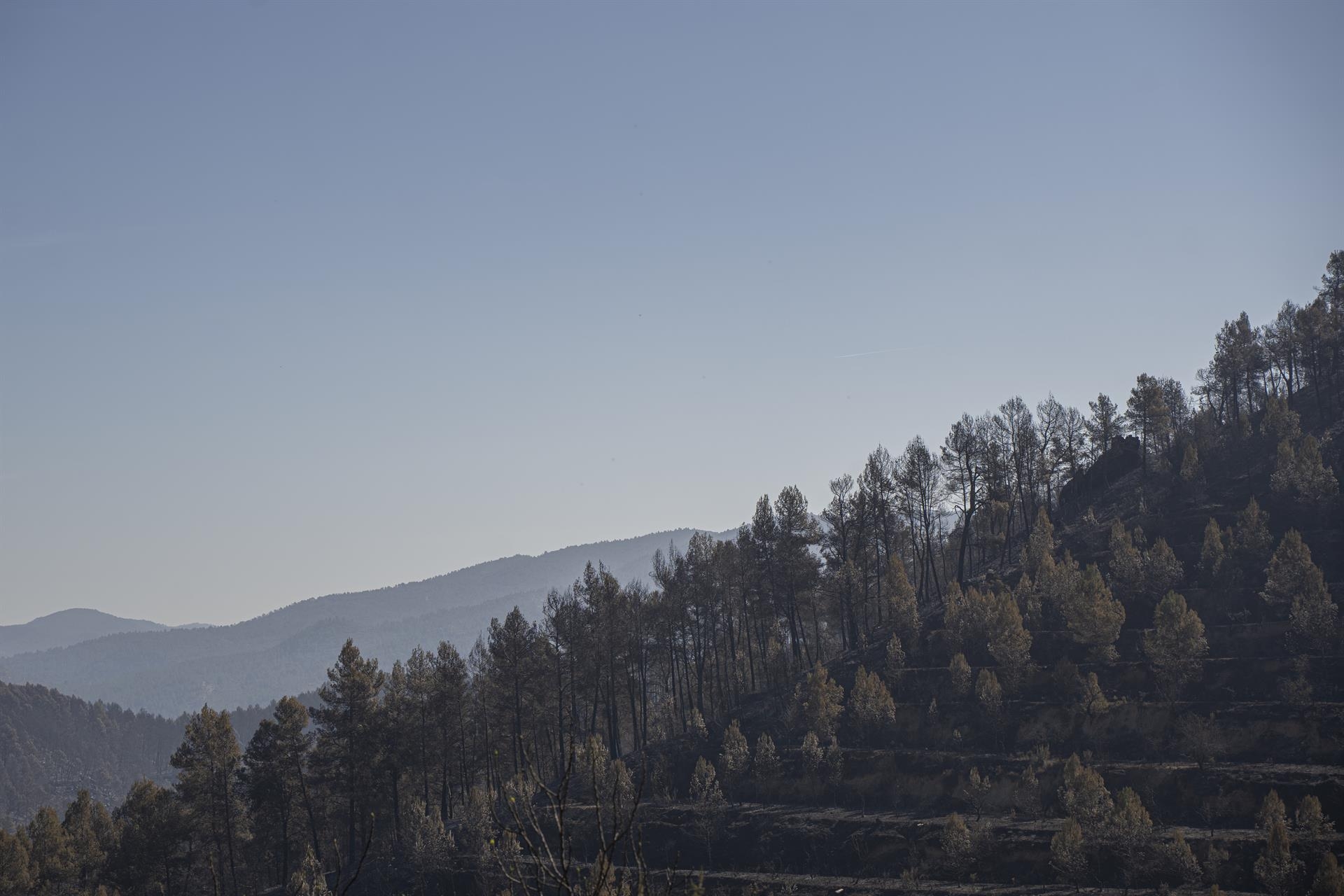 La Diputación debatirá una declaración pidiendo ayudas para los pueblos afectados por el incendio del Alto Mijares