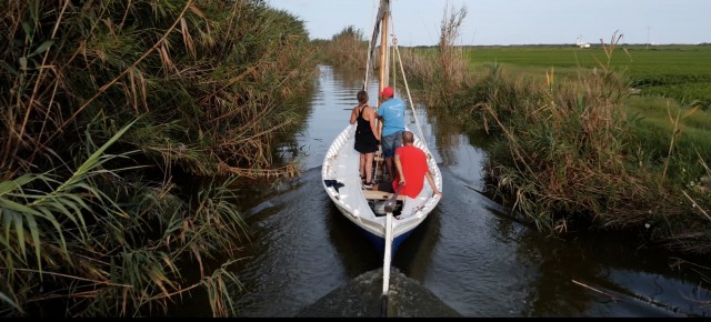 La Mancomunitat de l'Horta Sud participará en un proyecto europeo para mejorar la Albufera 
