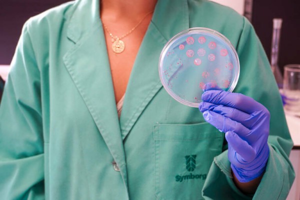 Symborg explorará nuevas tecnologías agrícolas tras su integración en Corteva