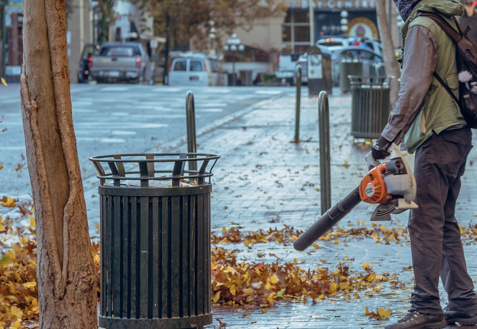 Dictadura de lo útil