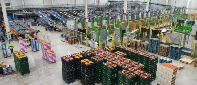 La murciana The Natural Fruit, que ya factura casi 500 millones, seguirá creciendo con la compra de empresas