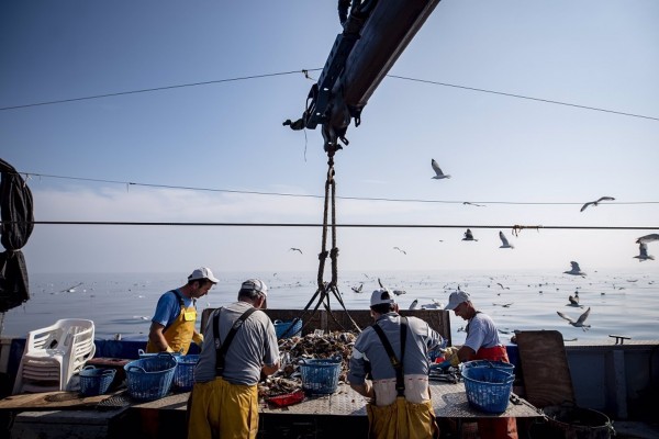 Cerca de 900 pescadores recuperan 77.790 kilos de basura marina con Upcycling the Oceans