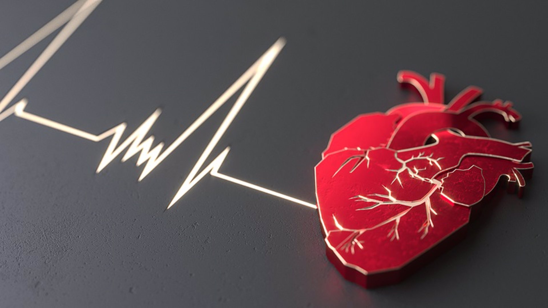 Descubierto un mecanismo clave que controla el desarrollo del corazón


