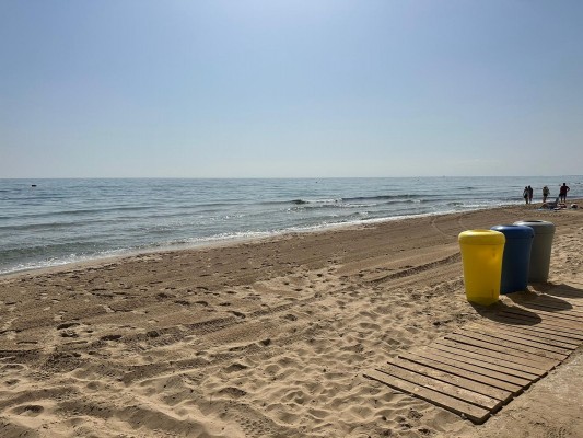 El PP de Elche solicita un plan de regeneración integral de las playas de Arenales, El Pinet y La Marina