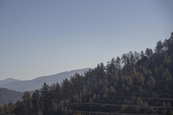 Los bomberos dan por extinguido el incendio forestal declarado hace 20 días en Villanueva de Viver