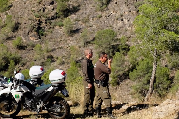 Los montes de la Región se ponen en alerta ante el riesgo extremo de incendio forestal