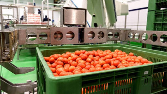 Juver y Cool Vega materializan la alianza del gazpacho: arranca la producción para este verano