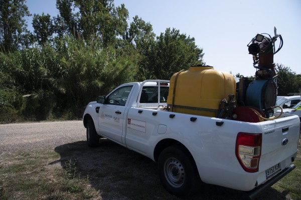 La Diputació focalitza les actuacions contra els mosquits en el litoral nord de Castelló