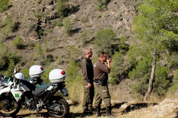 La Región despliega un dispositivo especial contra incendios forestales del domingo al martes