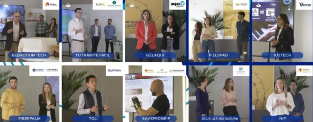 BeeMotion Tech, Tu Trámite Fácil, Gelaqui, IusTech y FieldPad, ganadores del Marathon de startups de la UMH