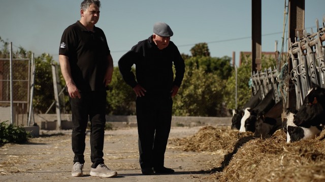 El Ayuntamiento de Elche estrena 'Relleu', un corto documental sobre los retos a los que se enfrenta el Camp d'Elx