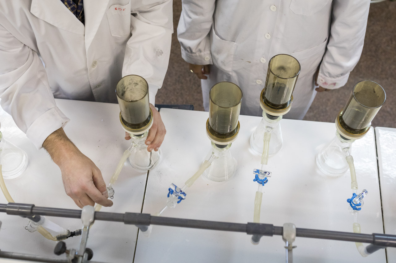 El Consell autoriza el Instituto Universitario de Investigación e Innovación Agroalimentaria (UMH)
