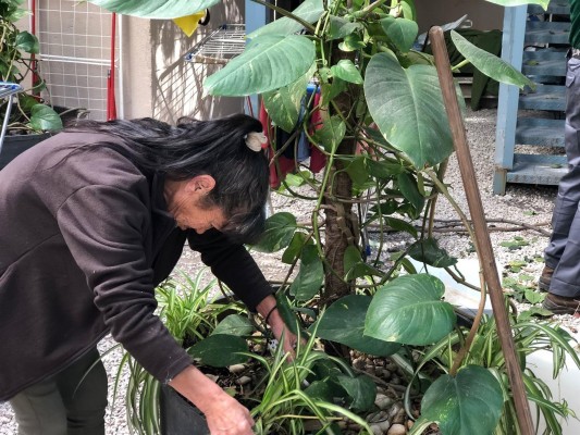 Casa Caridad crea un nuevo taller de jardinería y pintura para usuarios de centros de acogida temporal