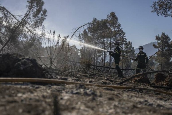 Las reproducciones de fuegos en el incendio de Castellón, extinguidas
