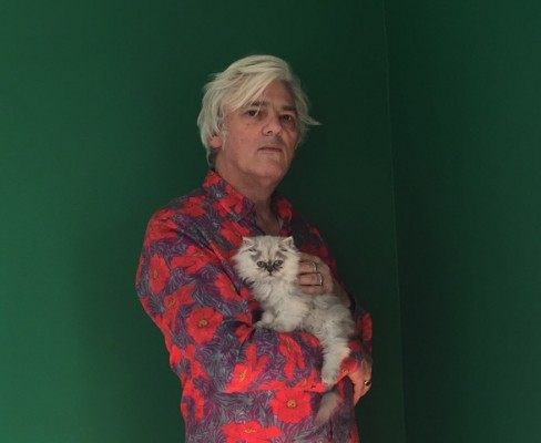 El museo del rock de Robyn Hitchcock