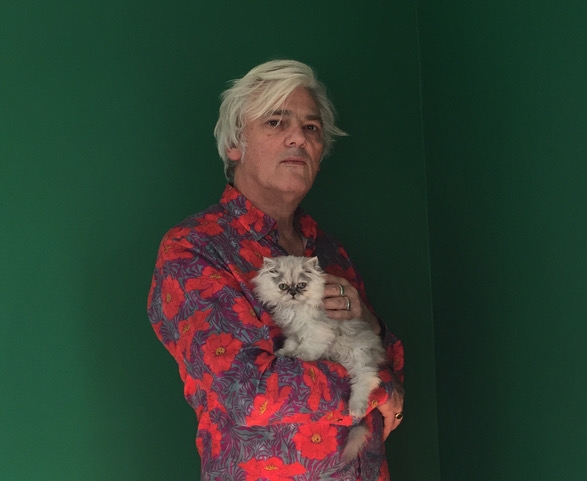 El museo del rock de Robyn Hitchcock