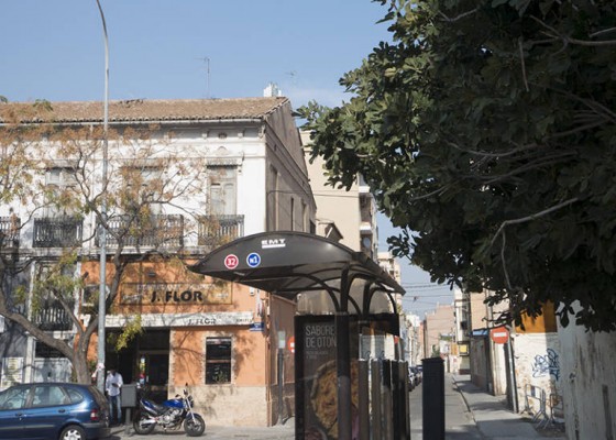 Ferits de Lletra: Figuera, peus en aigua i cap al sol