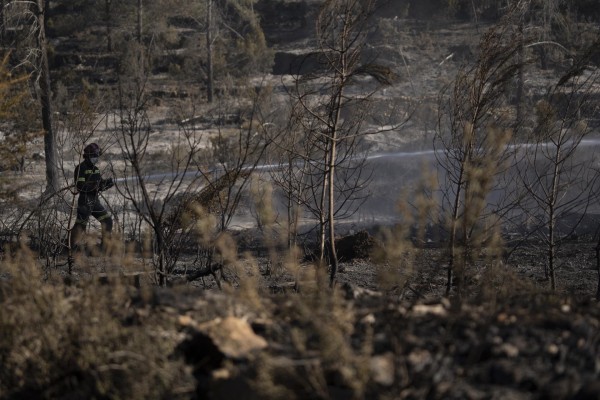 La Unió pedirá ayudas directas para agricultores y ganaderos afectados por el incendio del Alto Mijares