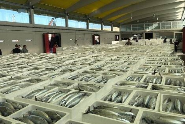 Los gestores de la Lonja de Alicante crean una 'empresa puente' hasta el nuevo concurso