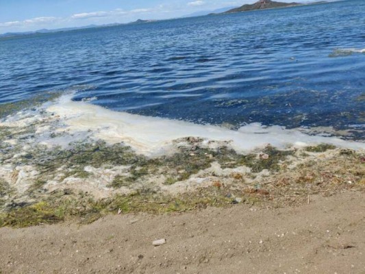 Las aguas residuales son el principal riesgo de eutrofización del Mar Menor