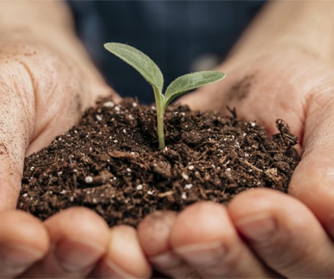 Facsa trabaja en producir pesticidas y estimulantes biológicos a partir de residuos del agua