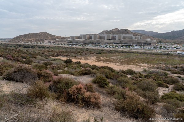 El Ayuntamiento incoará hoy el expediente para la mutación demanial del terreno de la Ciudad de la Justicia y deja la pelota en el tejado del Ministerio