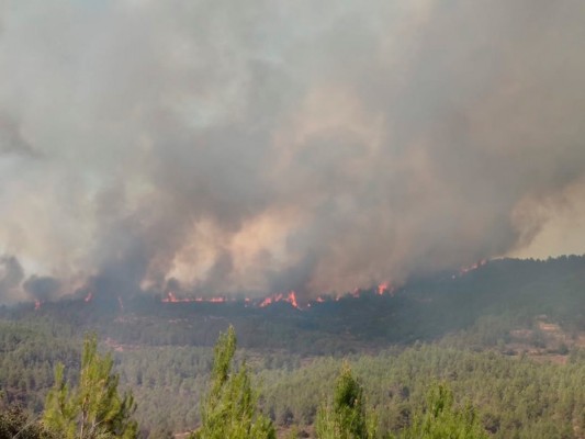 Puig alerta de que el incendio afronta horas 