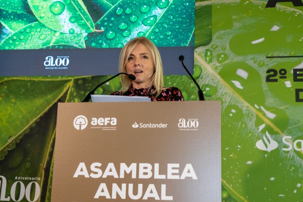 Aefa lanza un mensaje a la clase política: más consensos y menos trabas y carga fiscal 