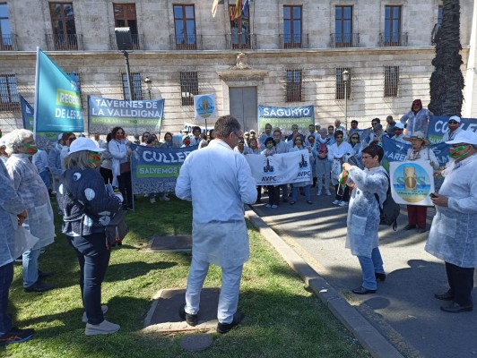 Segunda protesta general ante la
Delegación del Gobierno en Valencia por la regresión de la
costa 