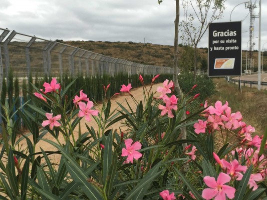 El Circuit apuesta por el reciclaje e inicia un plan de reforestación
