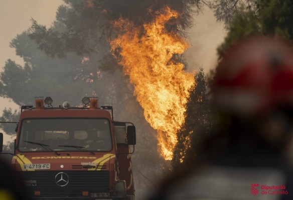 Parrilla (Greenpeace): 