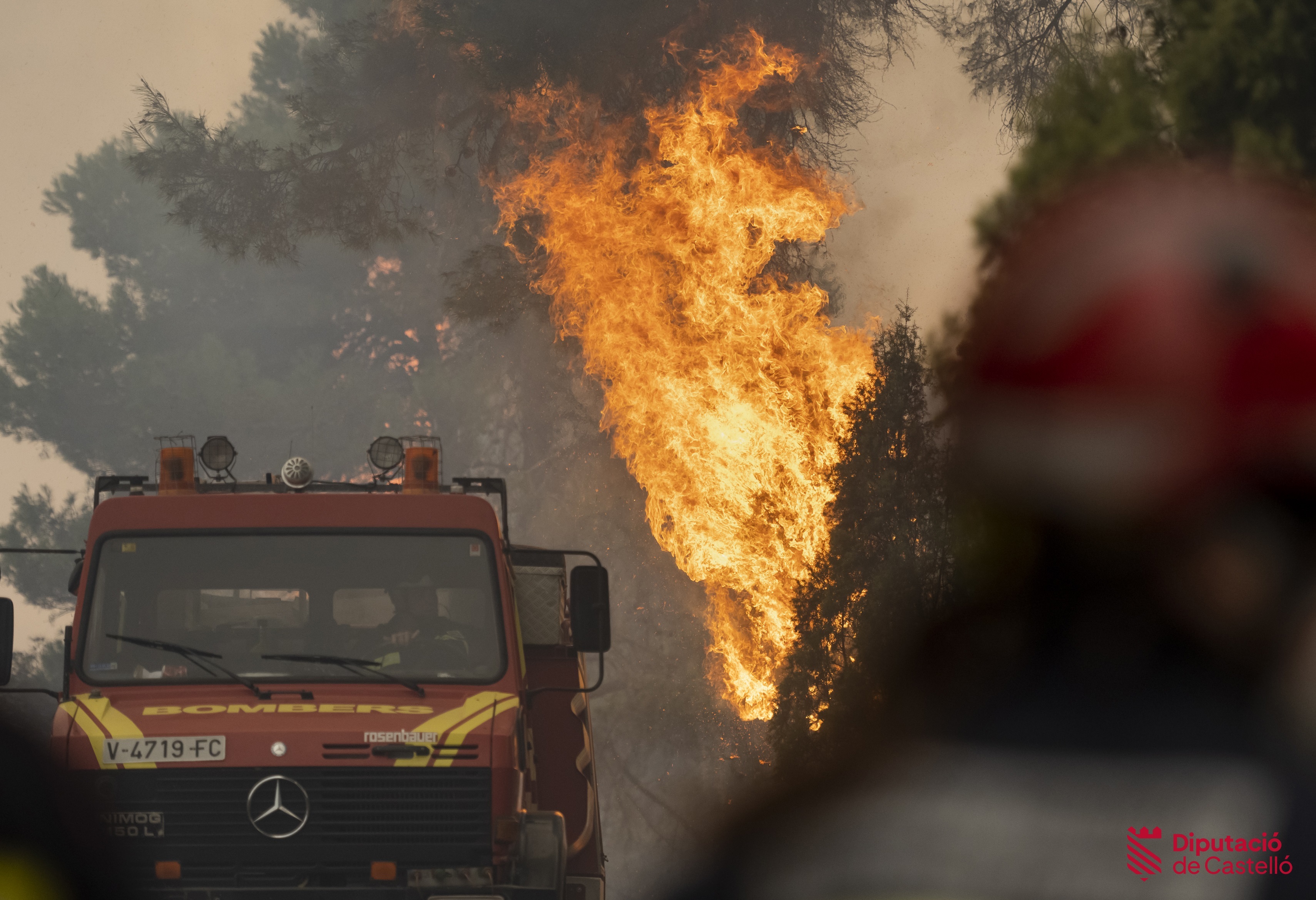 Parrilla (Greenpeace): 