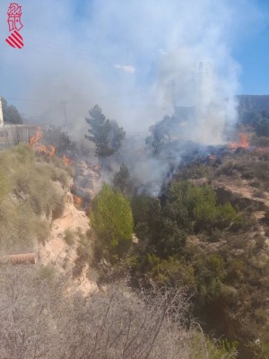Los bomberos extinguen un incendio forestal en Sax