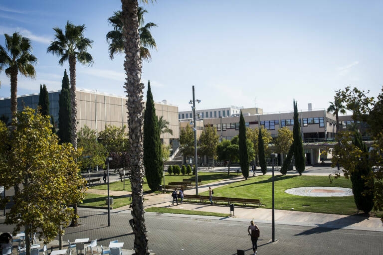 El Consell aprueba la Cátedra Interuniversitaria del Sistema Público Valenciano de Servicios Sociales
