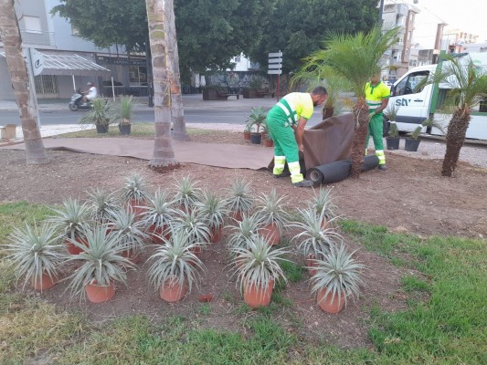 Mazarrón encarga el cuidado de sus jardines a la pachequera STV Gestión por 5,6 millones