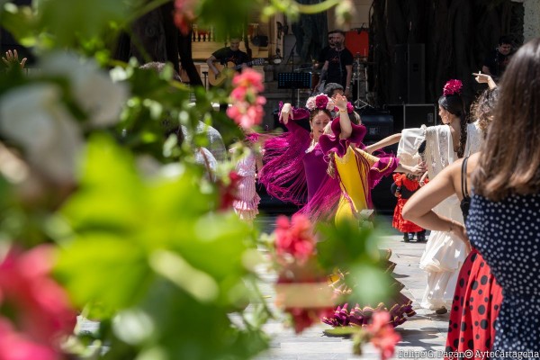 Las Cruces de Mayo, que se celebran del cuatro al siete, tendrán barras en la calle para bares con y sin terraza autorizada