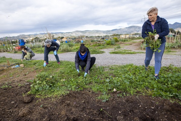 Castelló organiza en marzo tres talleres de dinamización en los huertos urbanos comunitarios

