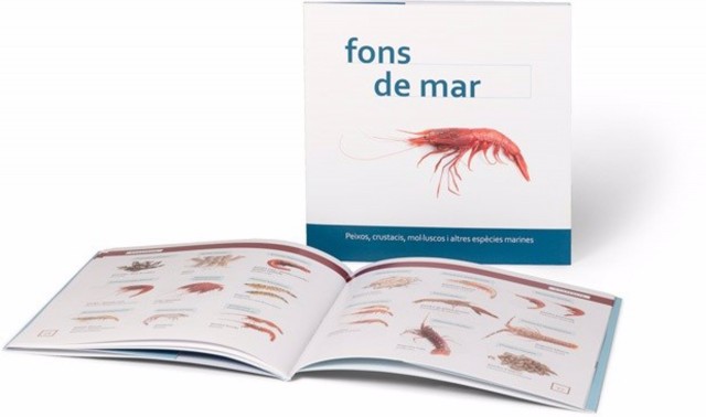 LA AVL presenta 'Fons de mar', un vocabulario visual con el producto local en valenciano 