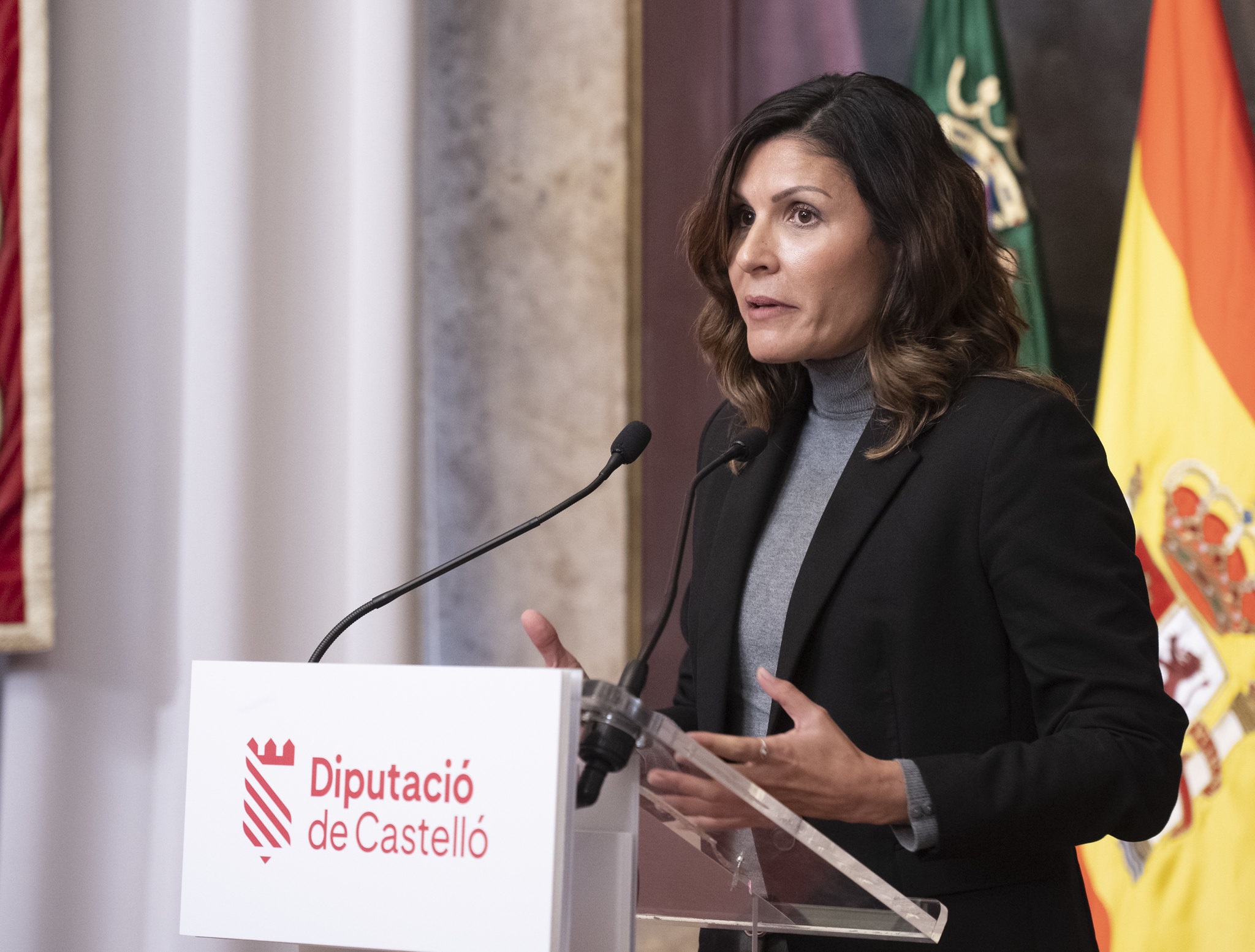  La portavoz adjunta del PP en la Diputación, María Ángeles Pallarés. Foto: PPCS - 