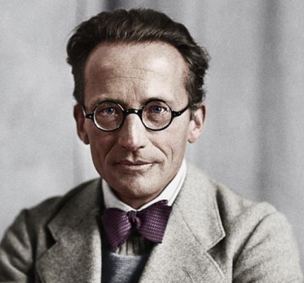 El panpsiquismo de Schrodinger