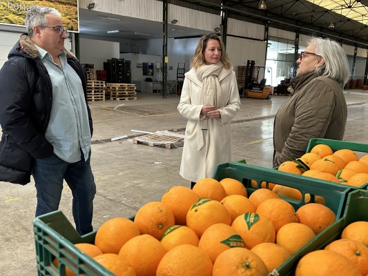 Carrasco (PP) pide que la reforma del Mercado de Abastos no afecte a la actividad de los vendedores