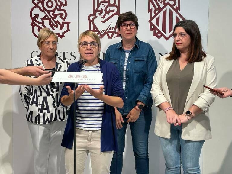 El Botànic retira a sus candidatos a los órganos estatutarios ante la falta de apoyos suficientes