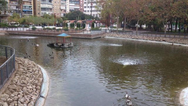 Los trabajos de vaciado y limpieza del lago del Jardín del Salitre de Murcia comienzan este lunes