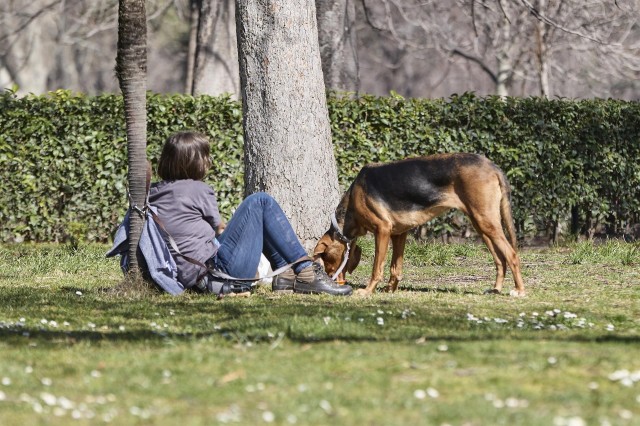 El Congreso aprueba la Ley de Bienestar Animal, sin perros de caza ni examen de aptitud 