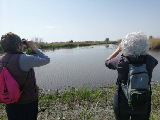 Agró protegerá la Marjal d'Almenara y la playa de Moncofa: gestionará 1,2 millones de la Generalitat
